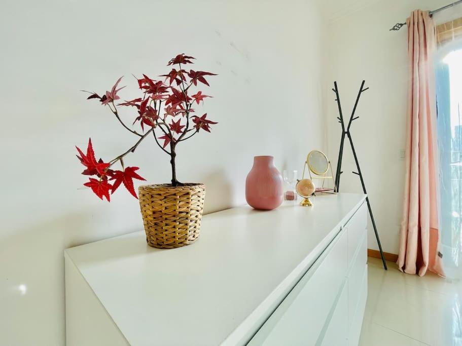 Armação de Pêra Peradoce - Beach 150M - Terrace - Private Parking 아파트 외부 사진